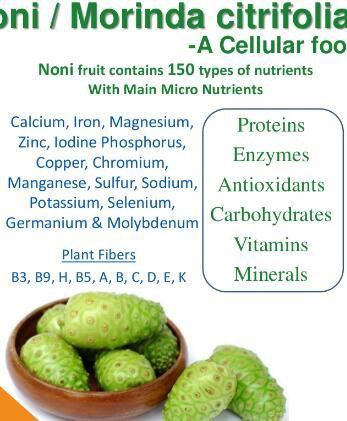Morinda Citrifolia Powder benefits Morinda Citrifolia Powder benefits