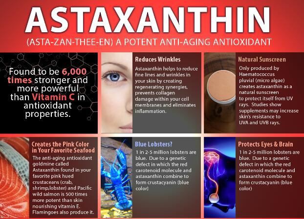 astaxanthin powder benefits