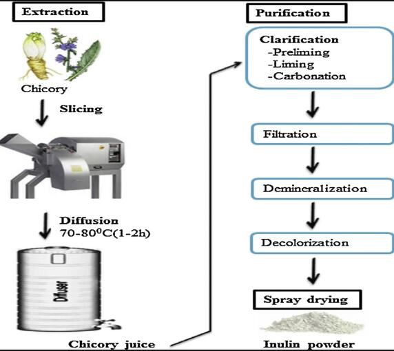 INULIN MANUFACTURING PROCESS
