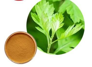 wormwood powder organic wormwood powder organic