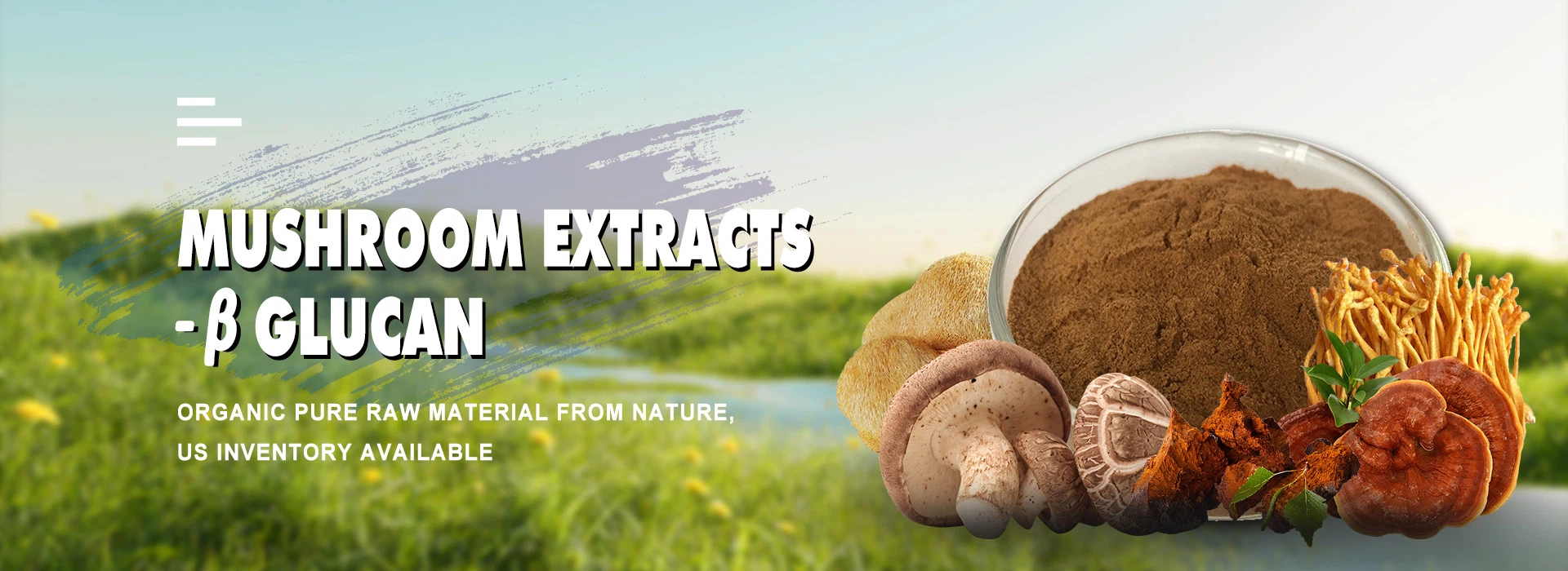 Plant Extract Supplier -Undersun Biomedtech Corp