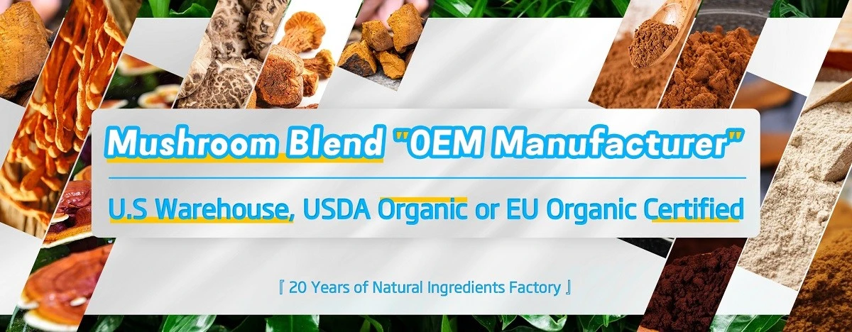 undersun mushroom powder undersun mushroom powder
