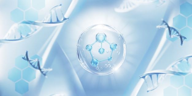 المضافة للأغذية والمشروبات