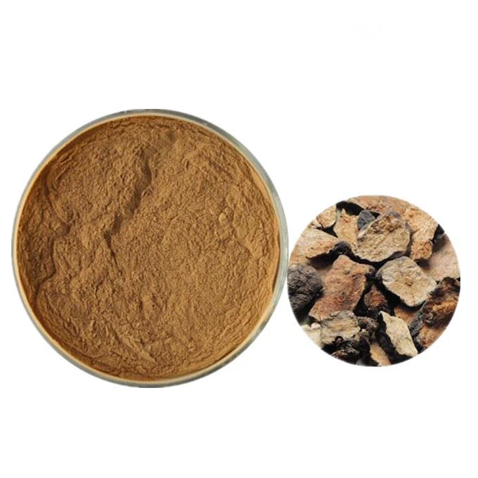 استخراج الجذر Fo-ti