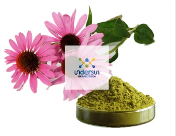 تعزيز الحصانة-Echinacea استخراج