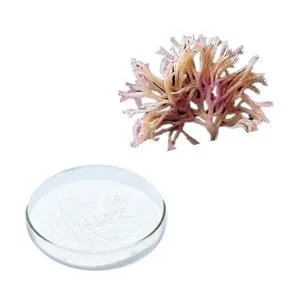 Chondrus كريسبوس استخراج