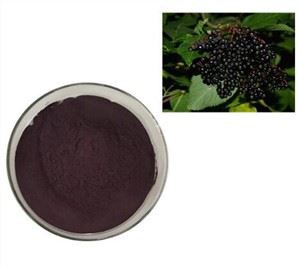 سامبوكوس إلدربري استخراج