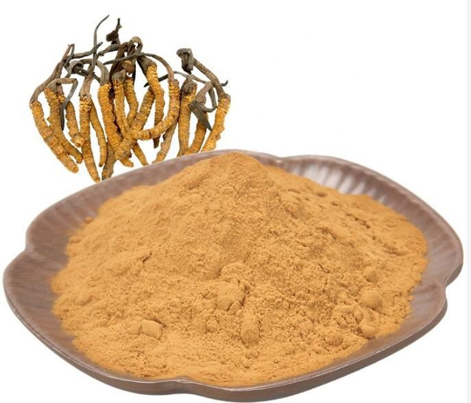 مسحوق كورديسيبس