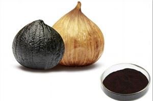 مستخلص الثوم المسنين