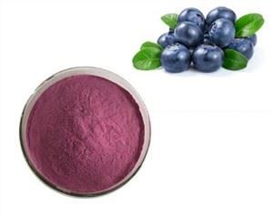 مسحوق التوت السائبة