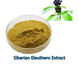 استخراج الجذر إليوثيرو