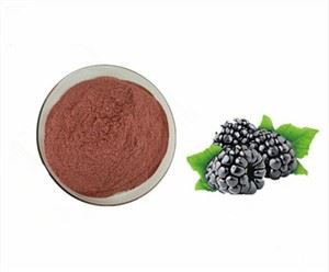 تجميد مسحوق بلاك بيري المجفف