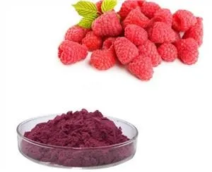 مسحوق توت العليق المجفف بالتجميد