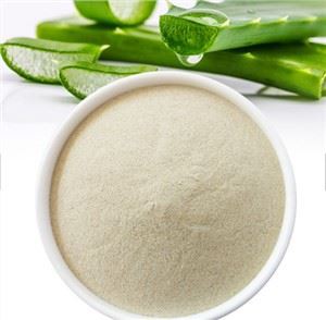 العضوية الألوة فيرا مسحوق