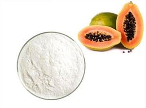 مسحوق انزيم الباباين