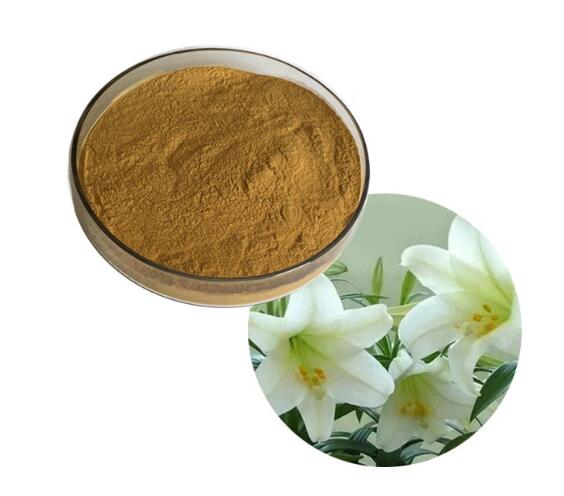 مستخلص لمبة Lilium Candidum