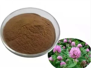 مسحوق مستخلص البرسيم الأحمر